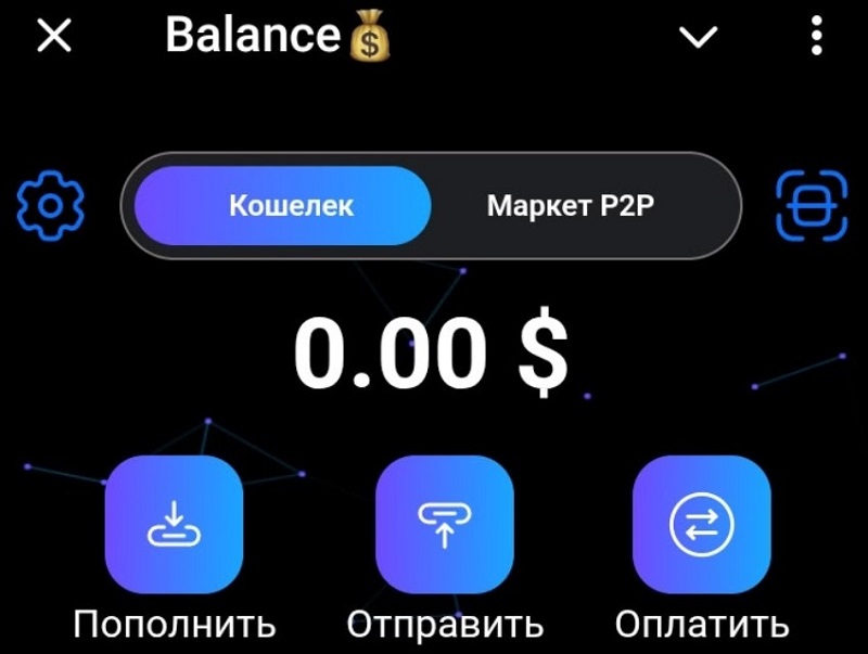 Balance Wallet