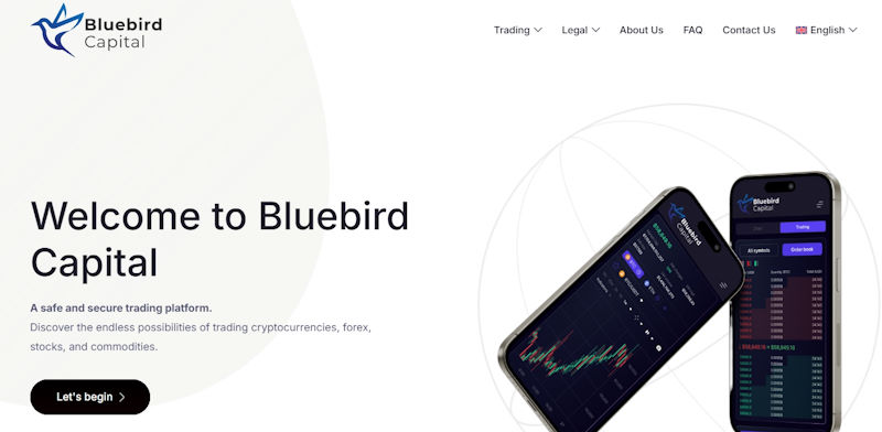 Bluebird Capital