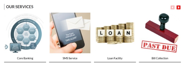 The Bhadran Peoples Co-Op Bank Ltd