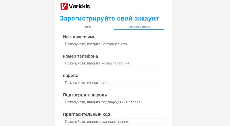 Verkkis