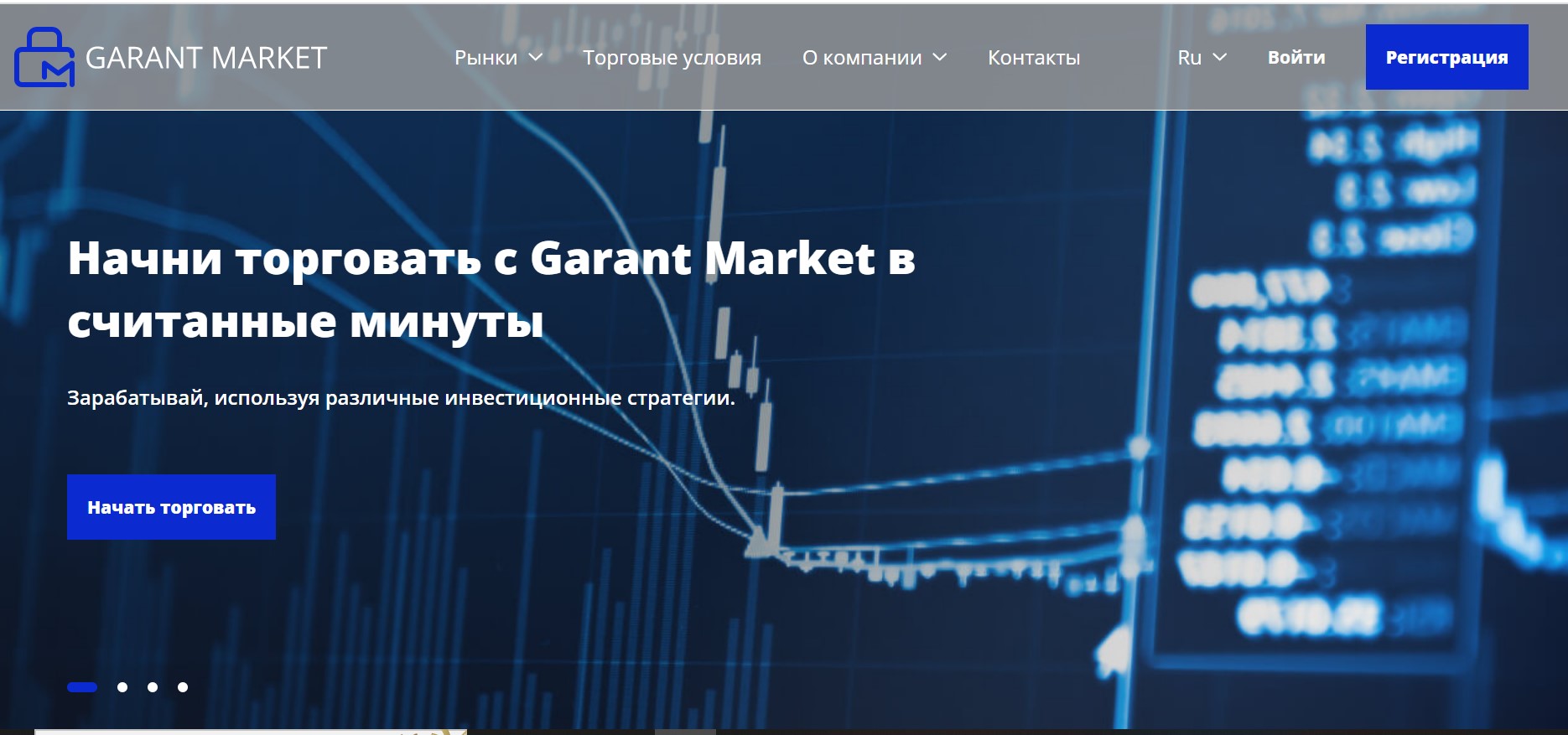 Garant Market