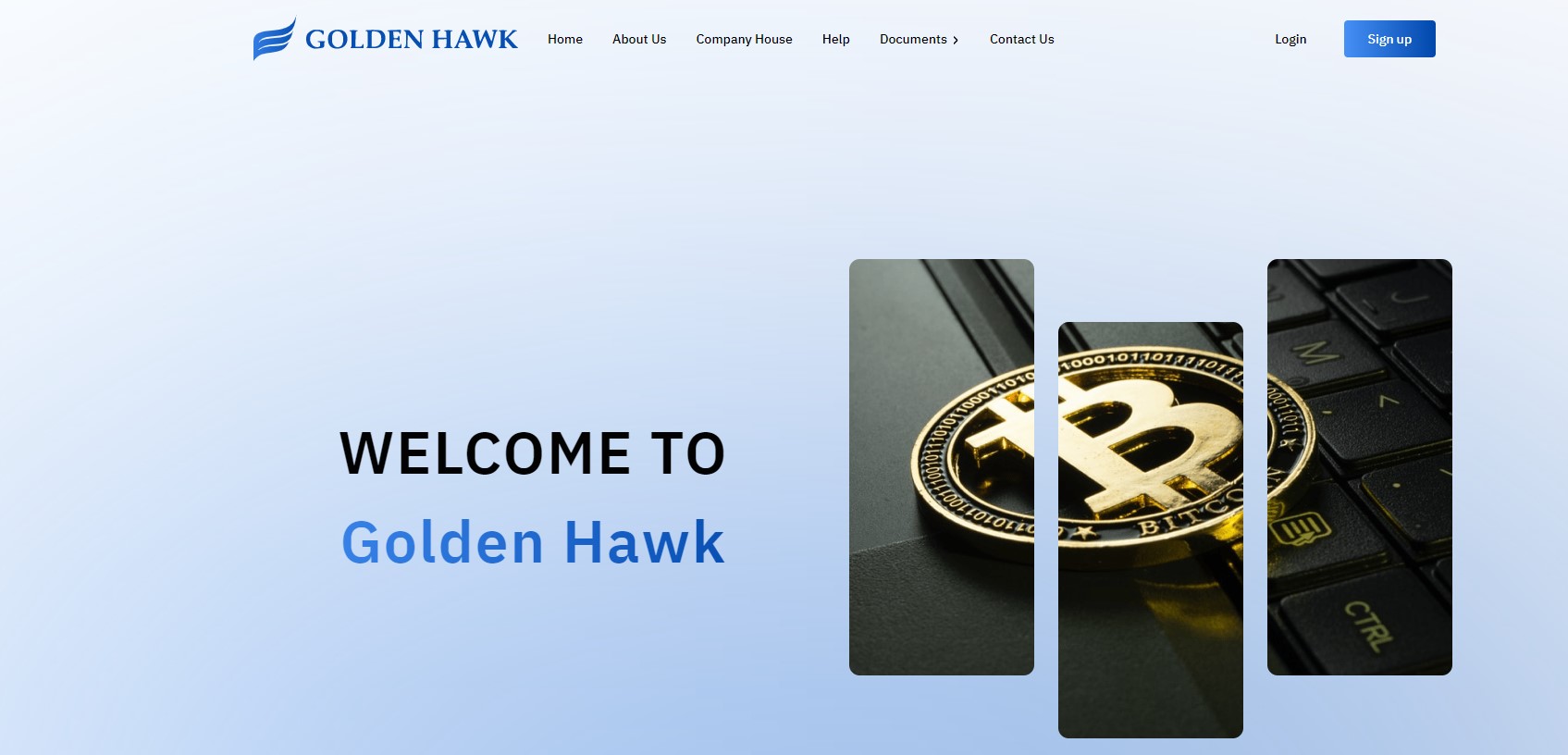 Golden Hawk