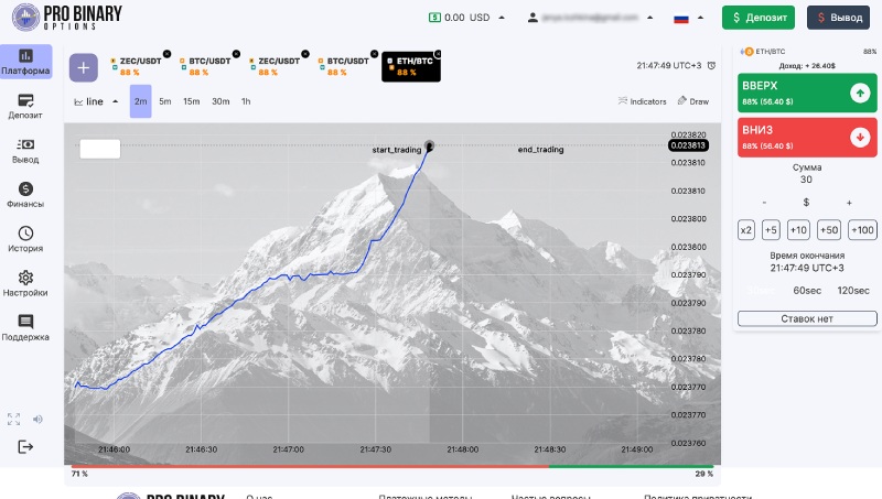 Pro Binary Options