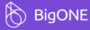 BigOneWorld