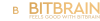Bit Brain