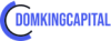 Domking Capital LTD