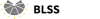 British Legal Security Services (BLSS)