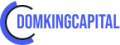 Domking Capital LTD