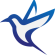 Bluebird Capital
