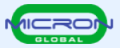 Micron Global