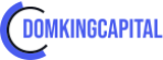 Domking Capital LTD