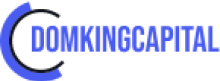Domking Capital LTD