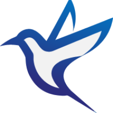 Bluebird Capital