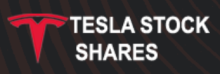 Tesla Stock Shares