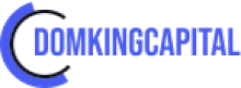 Domking Capital LTD