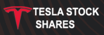 Tesla Stock Shares